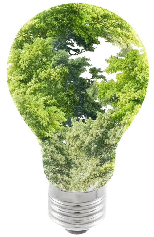 ROYAL GROUP AFRICA SARLU - Sustainable energy in Africa